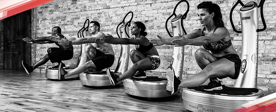 The Science of Vibration Training